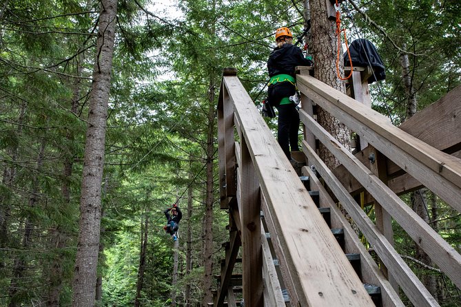 Zipline Adventure in Whistler - The guides are central to the experience