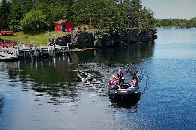 Zodiac Coastal Tour with Naturalist Guide: Lunenburg - Watching wildlife without disturbing it